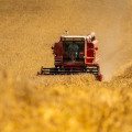 The Impact of Beverage Companies on Local Agriculture in Madison County, Kentucky