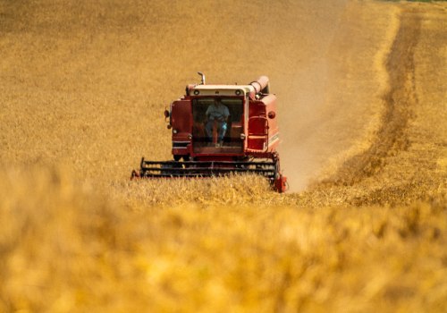 The Impact of Beverage Companies on Local Agriculture in Madison County, Kentucky